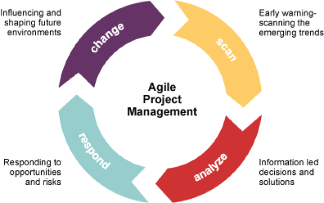 digital project manager traits