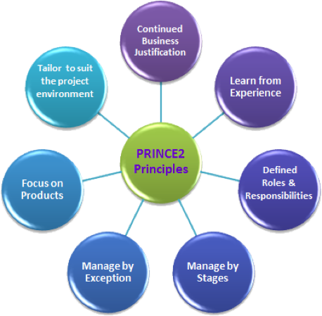 digital project manager traits